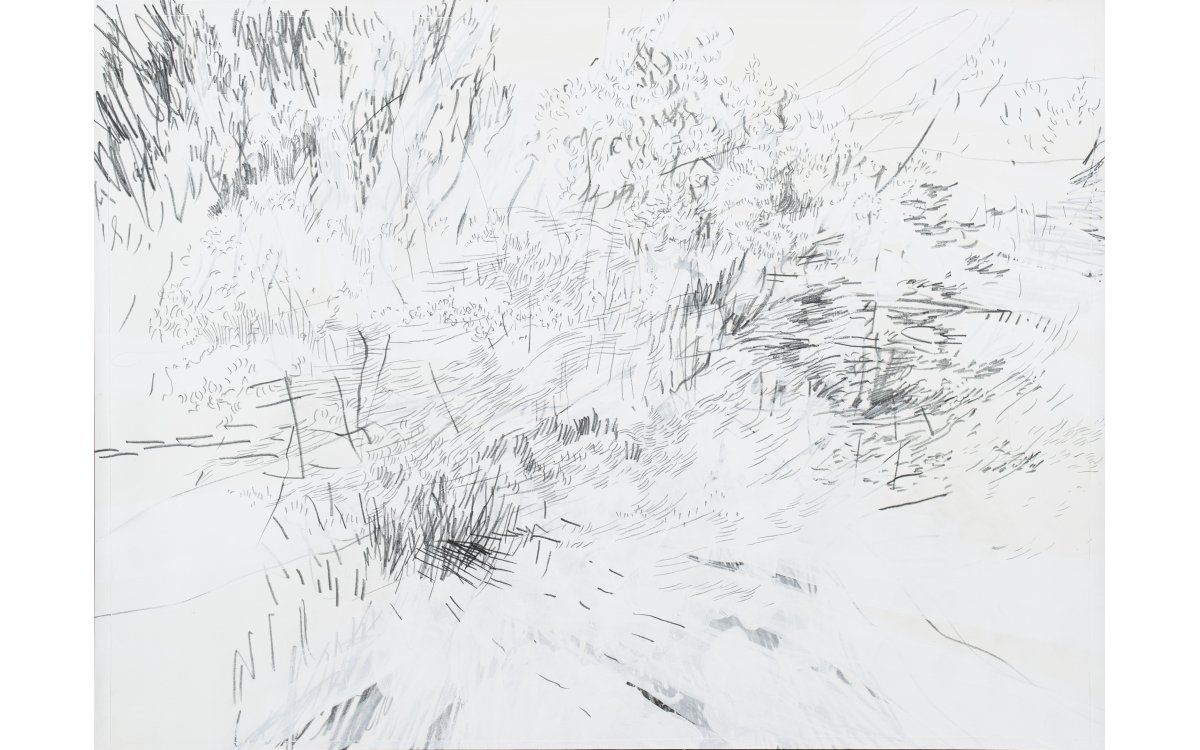 Aus der Serie „Gelände“, 2022Mischtechnik aus Graphit, Dispersion auf Papier56 x 42 cm