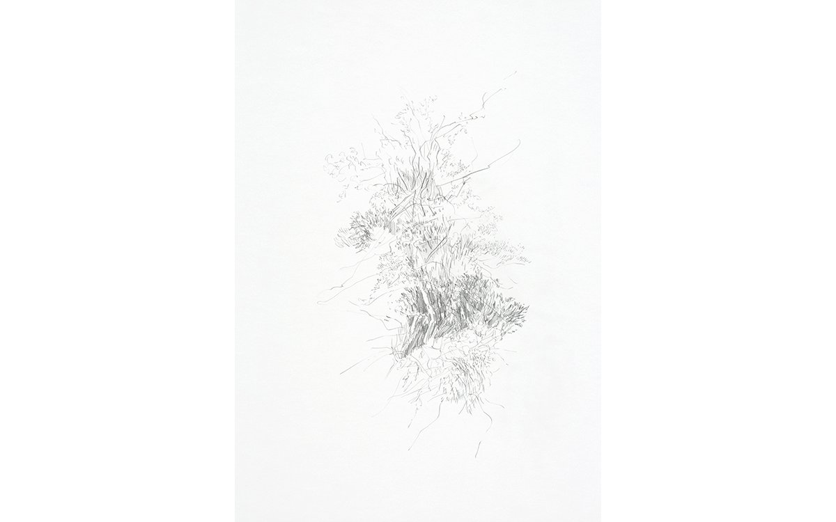 Aus der Serie „Gelände“Bleistift auf Papier59 x 42 cm