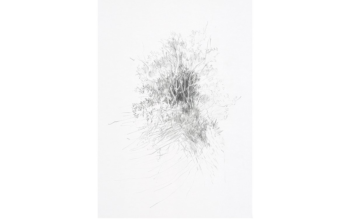 Aus der Serie „Gelände“Bleistift auf Papier59 x 42 cm