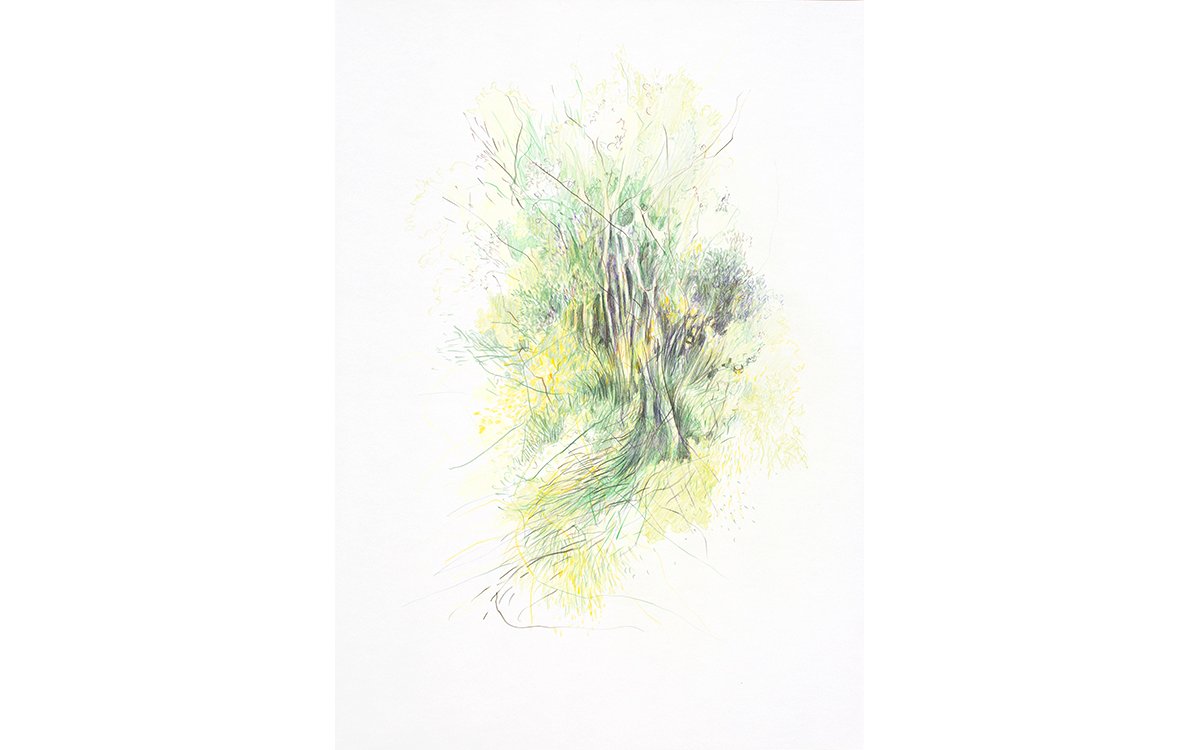 Aus der Serie „Gelände“Buntstift auf Papier59 x 42 cm