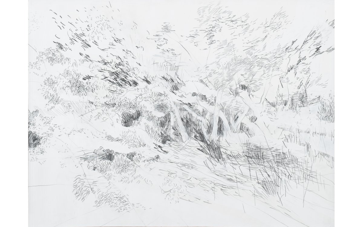 Aus der Serie „Gelände“, 2022Mischtechnik aus Graphit, Dispersion auf Papier56 x 42 cm